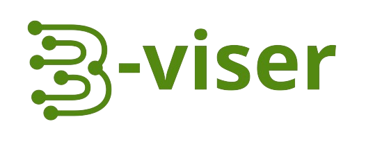 B-Viser, el Blog de IT Adviser